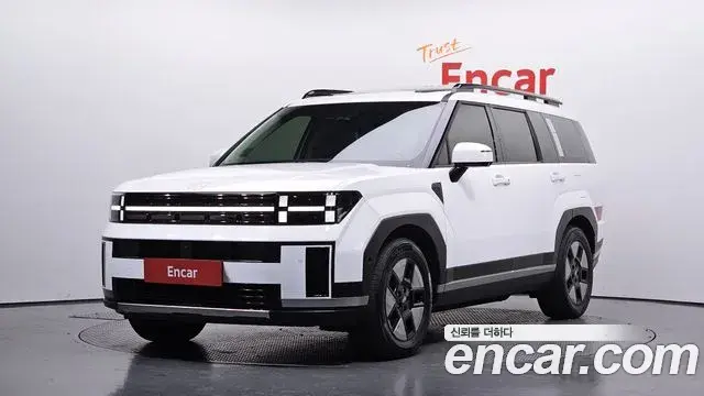 Hyundai Santa Fe 2023 — ფოტო 14/20