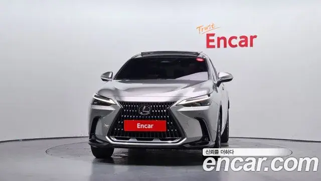 Lexus NX350h 2024 — ფოტო 17/33