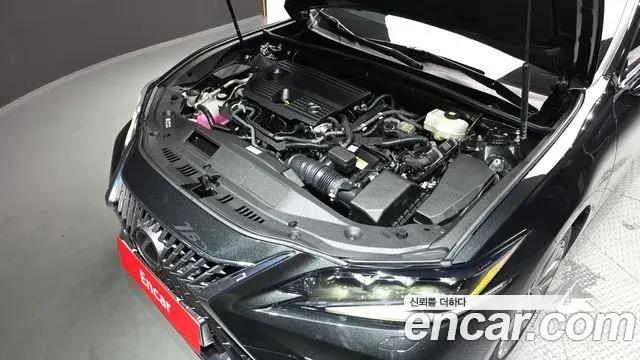 Lexus ES300h 2023 — ფოტო 18/36