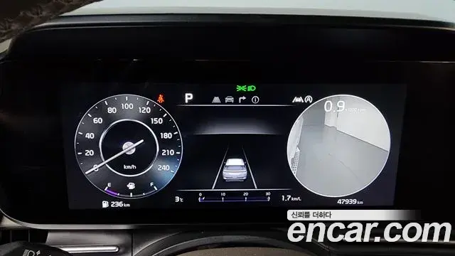 Kia Carnival 2022 — ფოტო 15/20