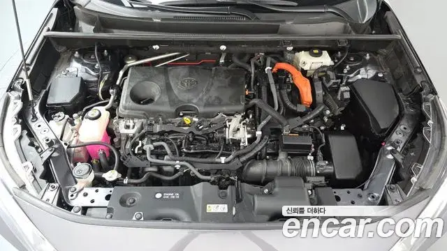 Toyota RAV4 2019 — Фото 6/20