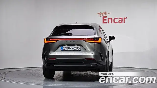 Lexus NX350h 2025 — ფოტო 31/35