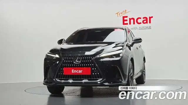 Lexus NX350h 2023 — Photo 24/31
