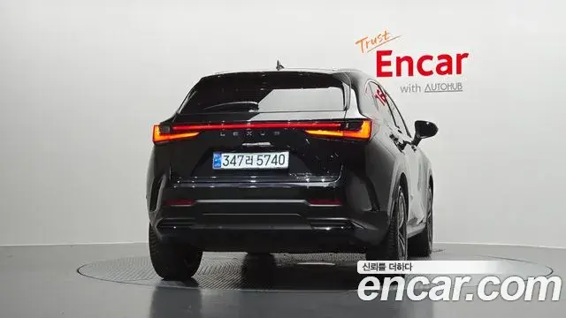 Lexus NX350h 2023 — Photo 25/31