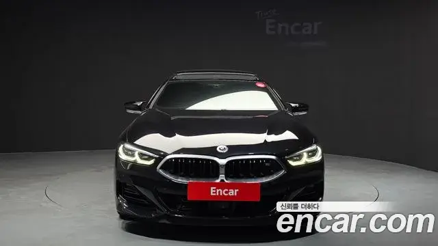 BMW 8 Series 2022 — ფოტო 17/34