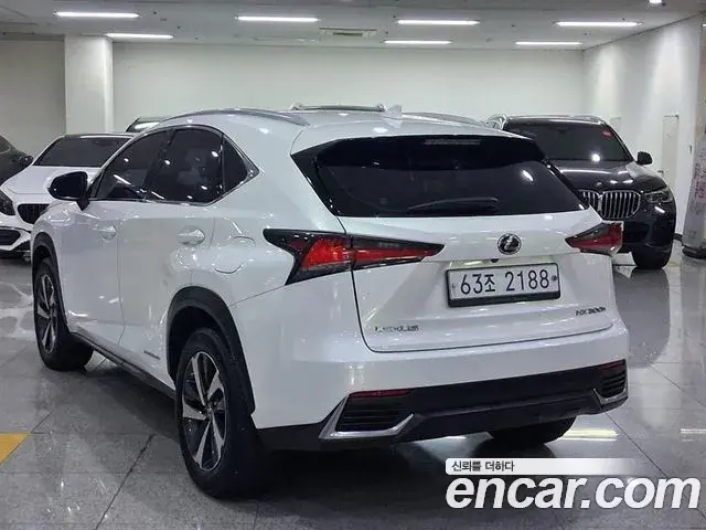 Lexus NX300h 2018 — Şəkil 2/20