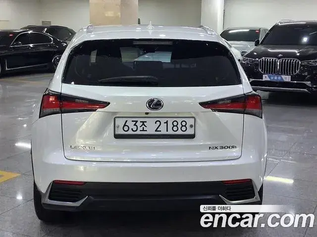 Lexus NX300h 2018 — Şəkil 3/20