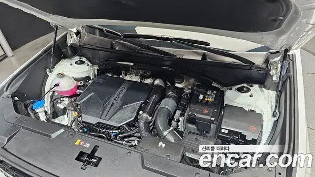 Hyundai Santa Fe 2024 — Photo 6/20