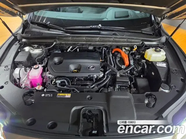 Lexus RX350h 2025 — Photo 10/18