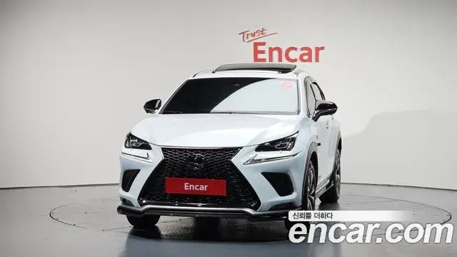 Lexus NX300 2020 — ფოტო 16/20