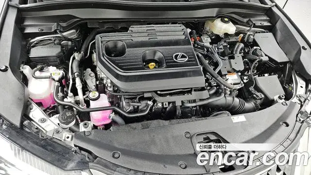 Lexus UX300h 2025 — Photo 13/20