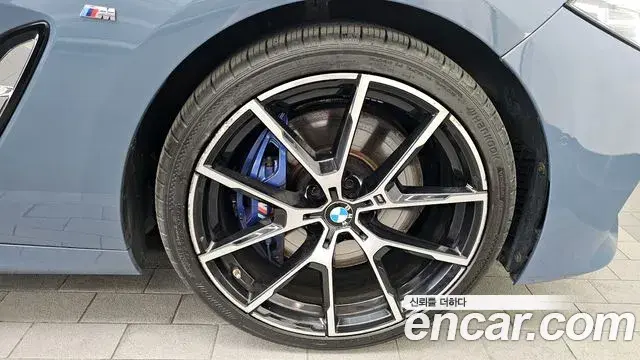 BMW 8 Series 2021 — ფოტო 13/31