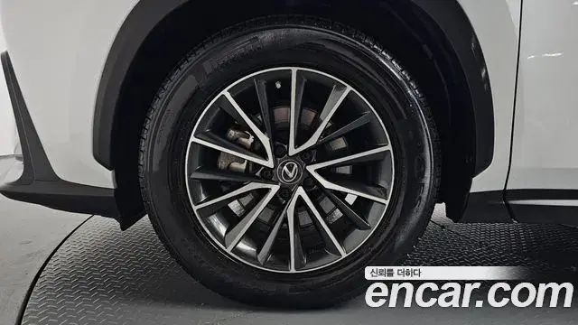 Lexus NX450h+ 2022 — Photo 36/38