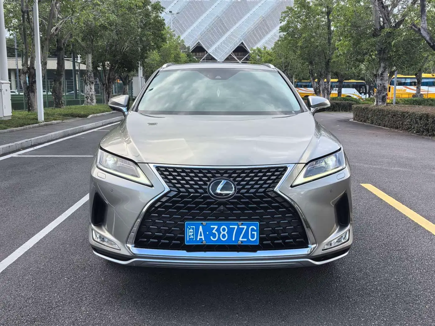 Lexus RX 2022 — ფოტო 2/16