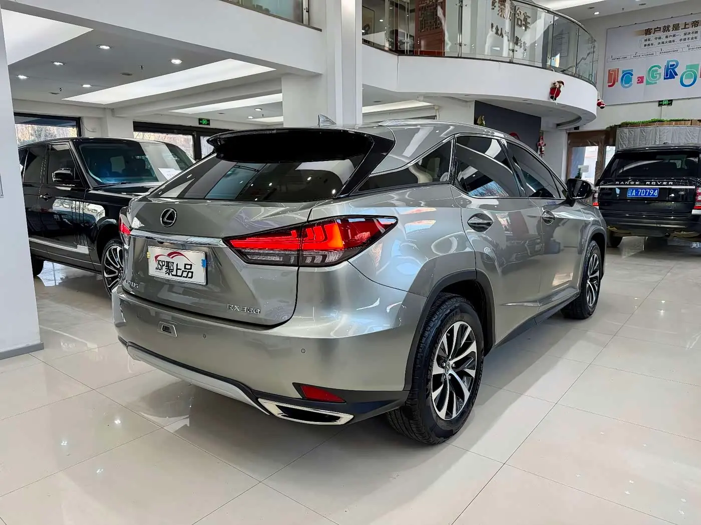 Lexus RX 2020 — Фото 12/14