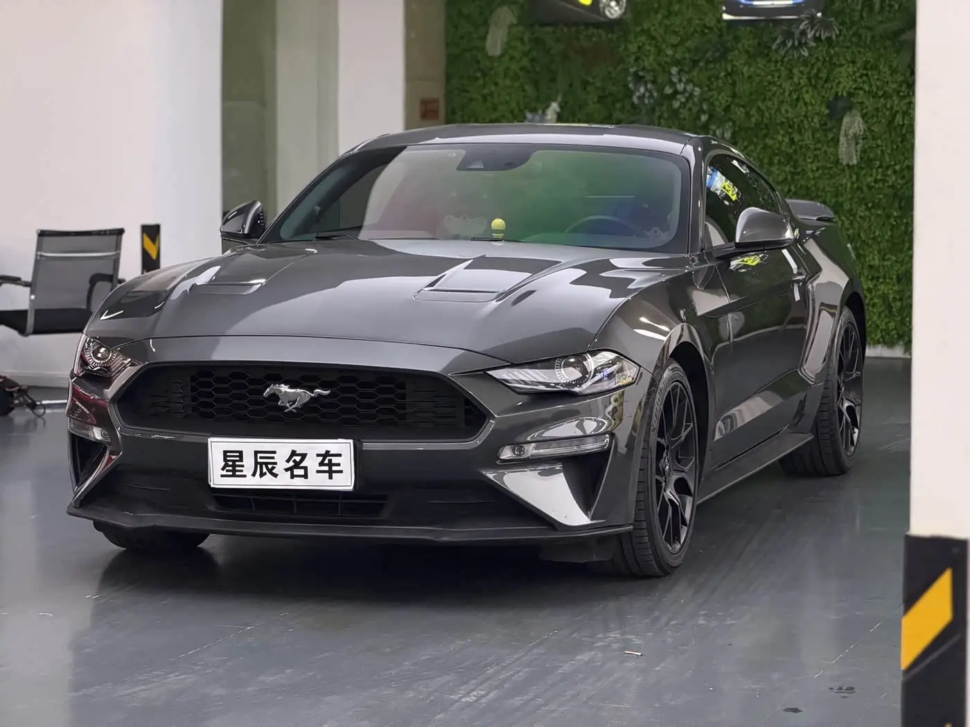 Ford Mustang 2019 — Фото 2/10