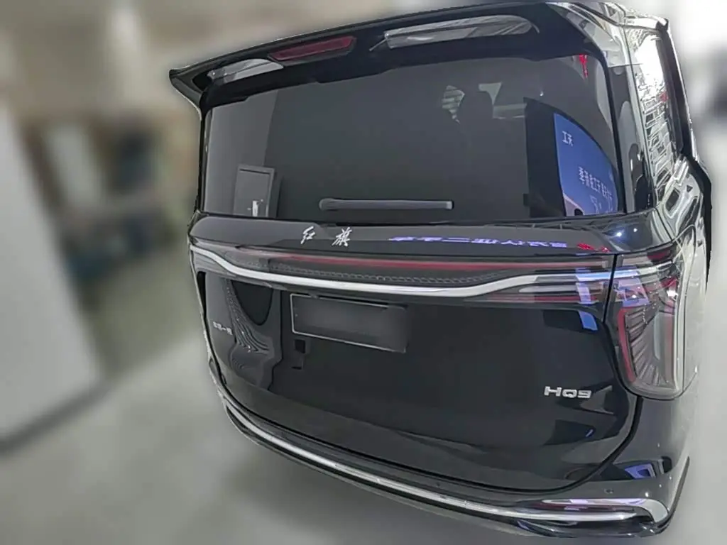 Hongqi HQ9 2023 — ფოტო 8/20