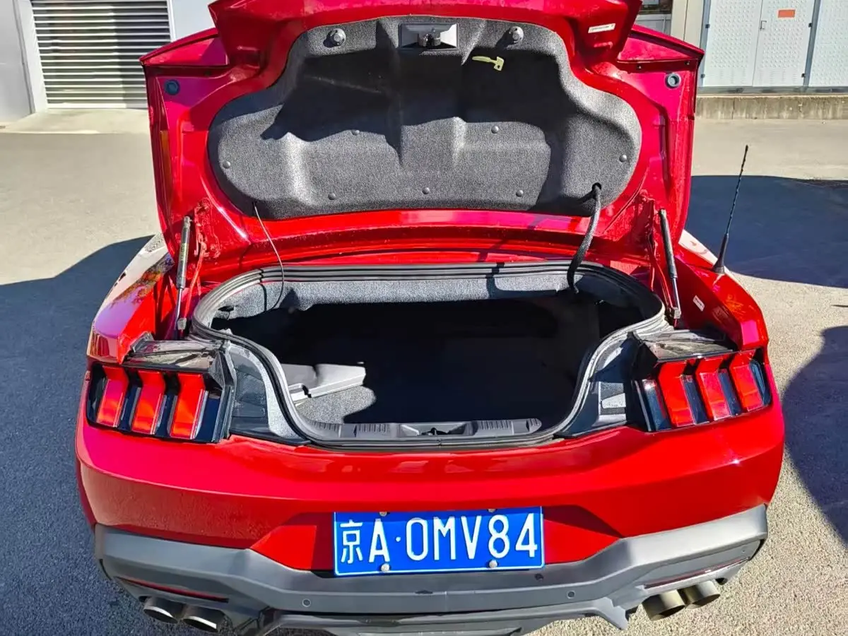 Ford Mustang 2024 — Photo 11/19