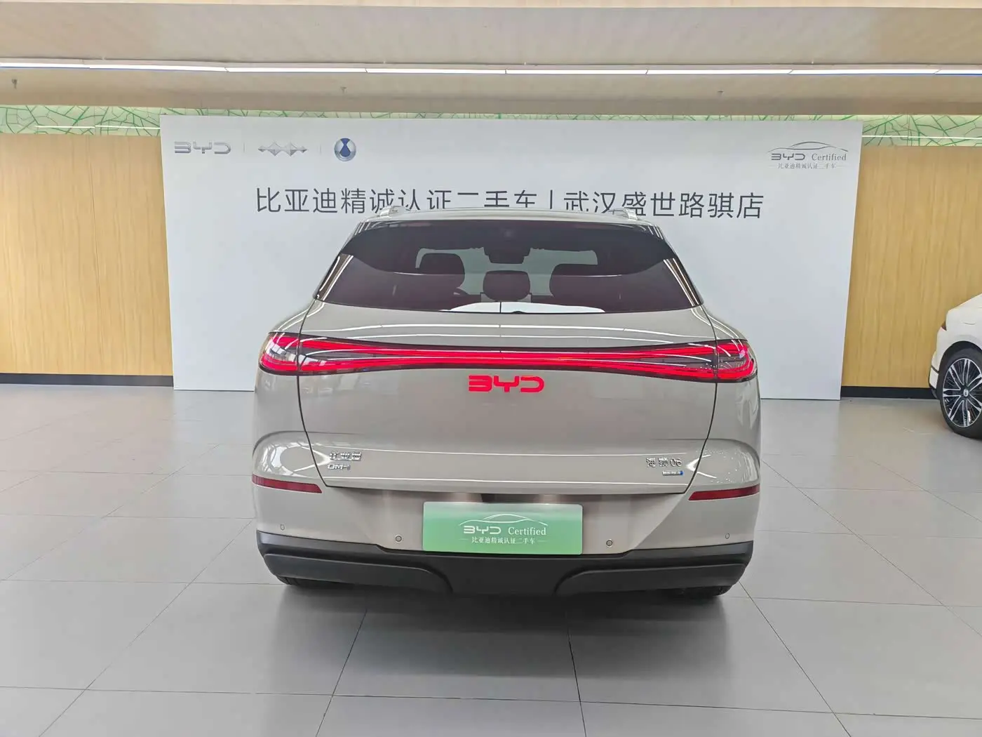 BYD Sealion 06 New Energy 2025 — Фото 6/19