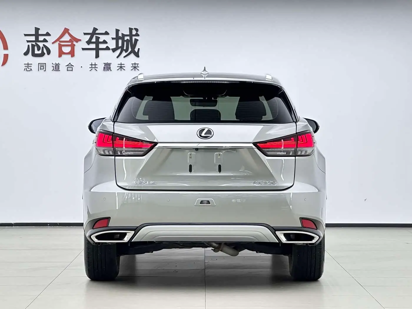 Lexus RX 2020 — Фото 17/18