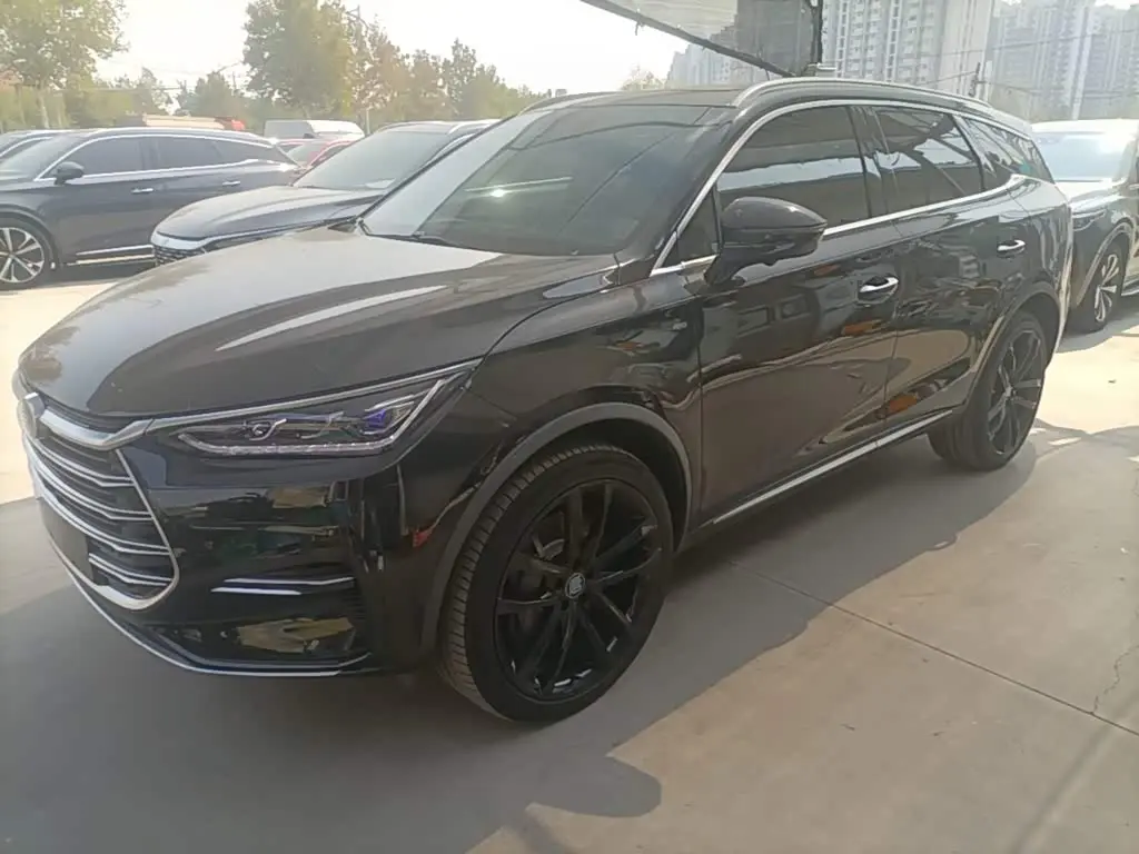 BYD Tang New Energy 2021 — ფოტო 2/20