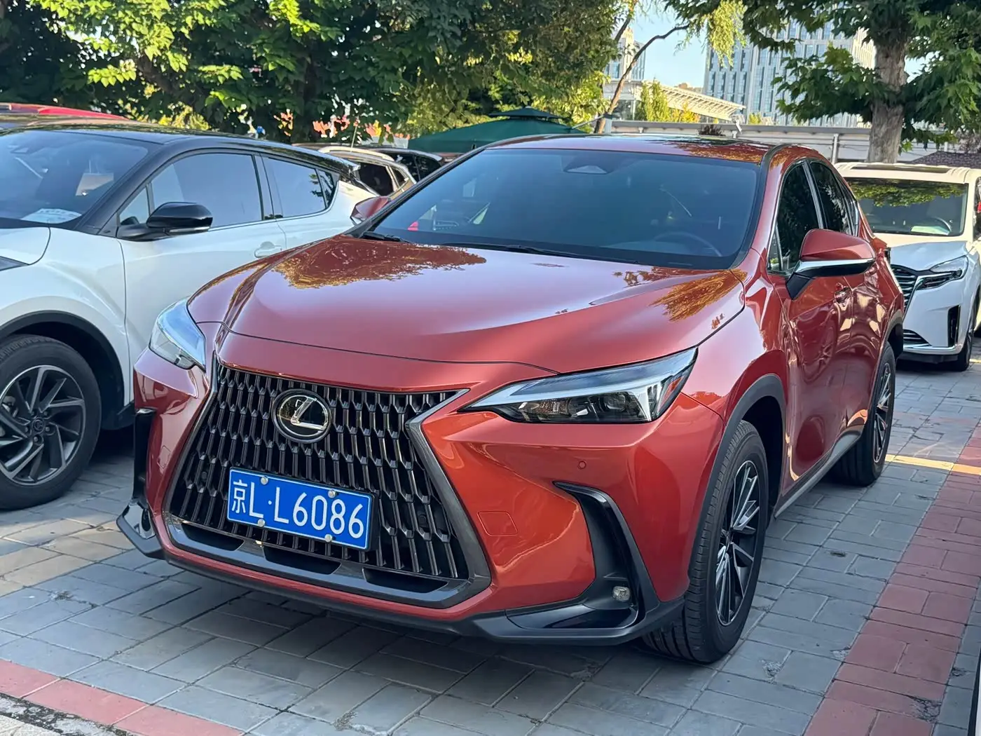Lexus NX, 2022