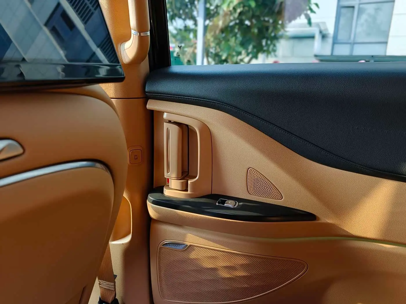 Voyah Auto Voyah Dreamer 2022 — Photo 13/20