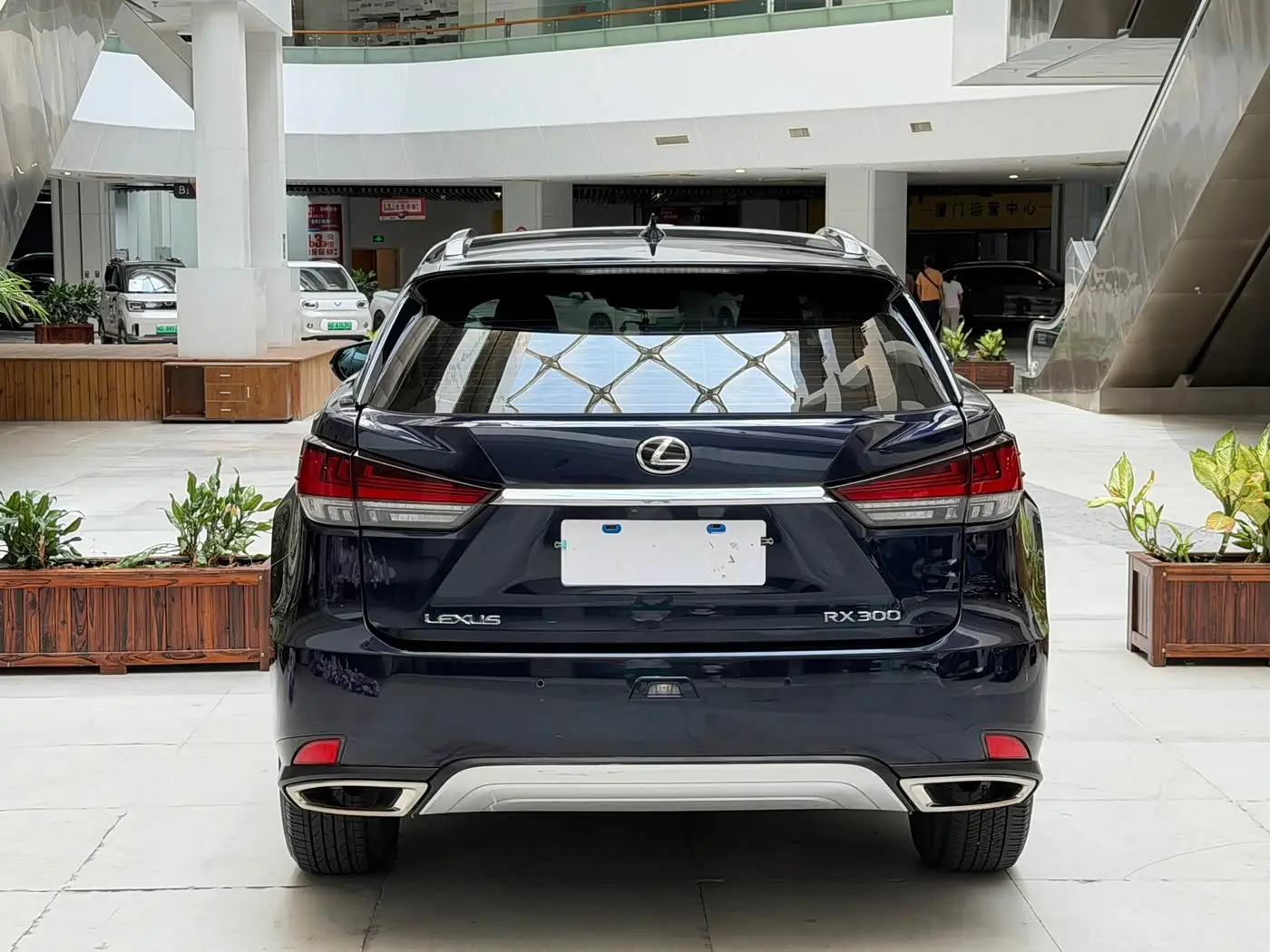 Lexus RX 2020 — Фото 5/19
