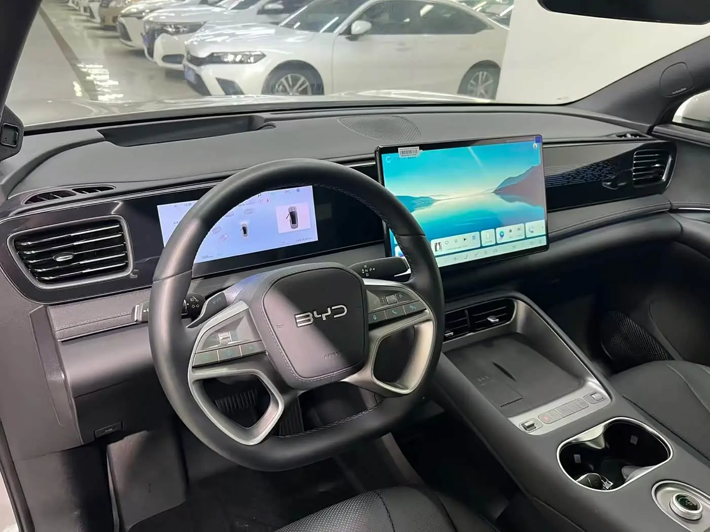 BYD Sealion 06 New Energy 2025 — Şəkil 4/9