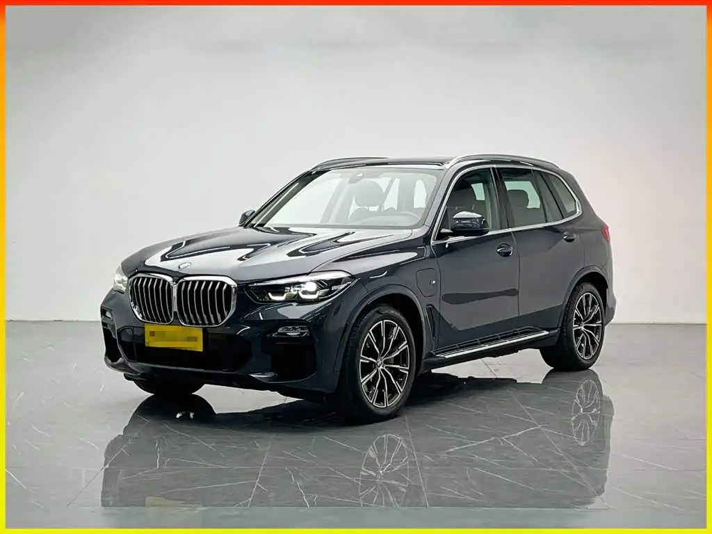 BMW X5 New Energy 2020 — Фото 1/20