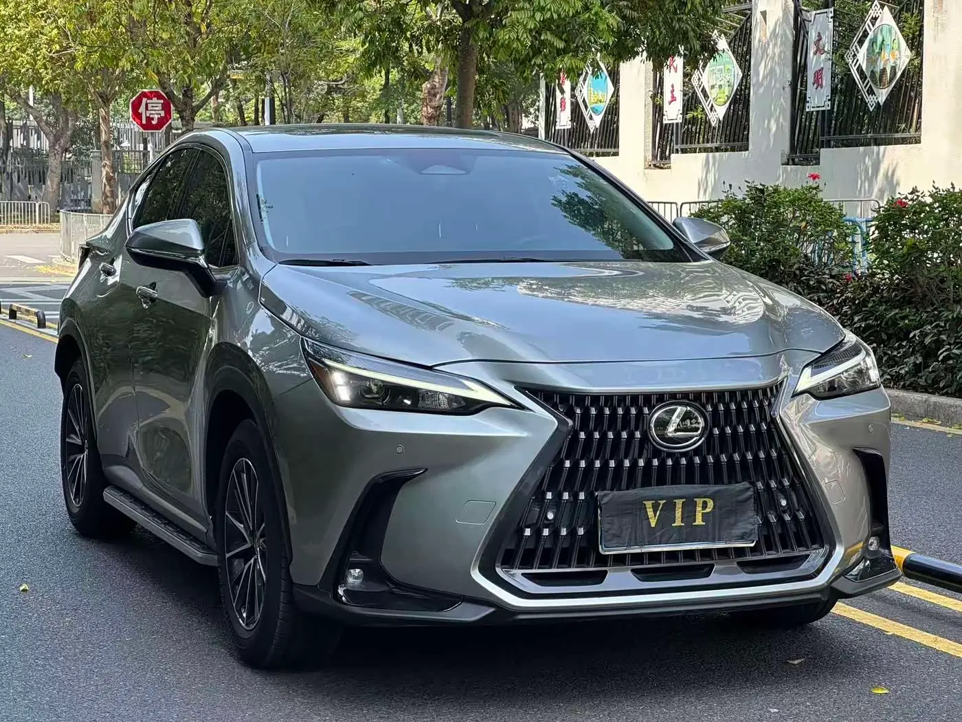 Lexus NX 2023 — Photo 3/13