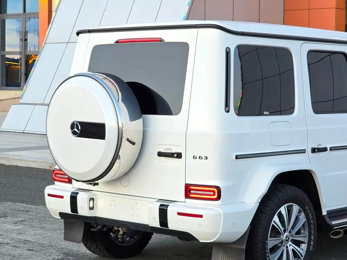 Mercedes-Benz G-Class 2021 — Фото 17/19