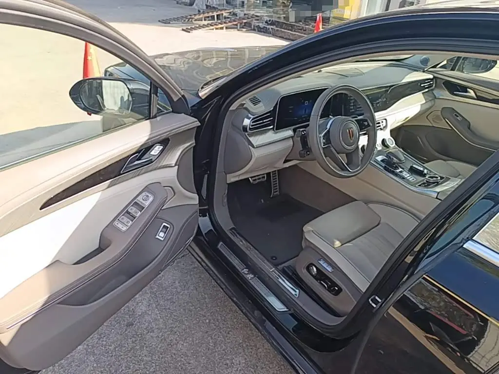 Hongqi H9 2022 — Photo 15/19