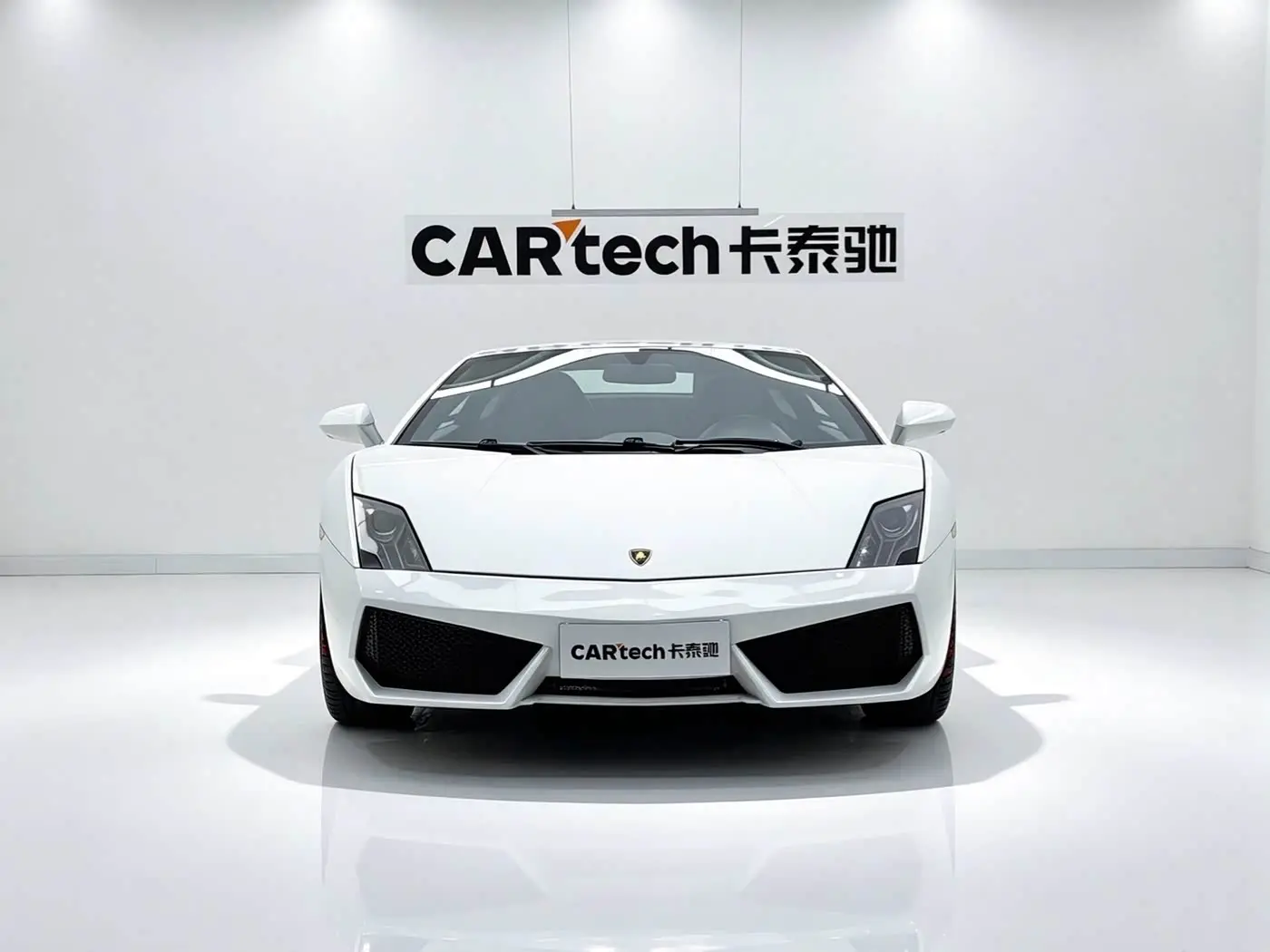 Lamborghini Gallardo 2015 — ფოტო 2/20