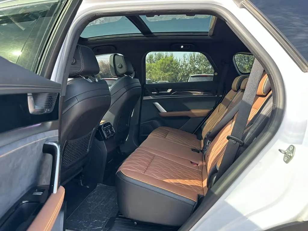 BYD Tang New Energy 2022 — ფოტო 10/20
