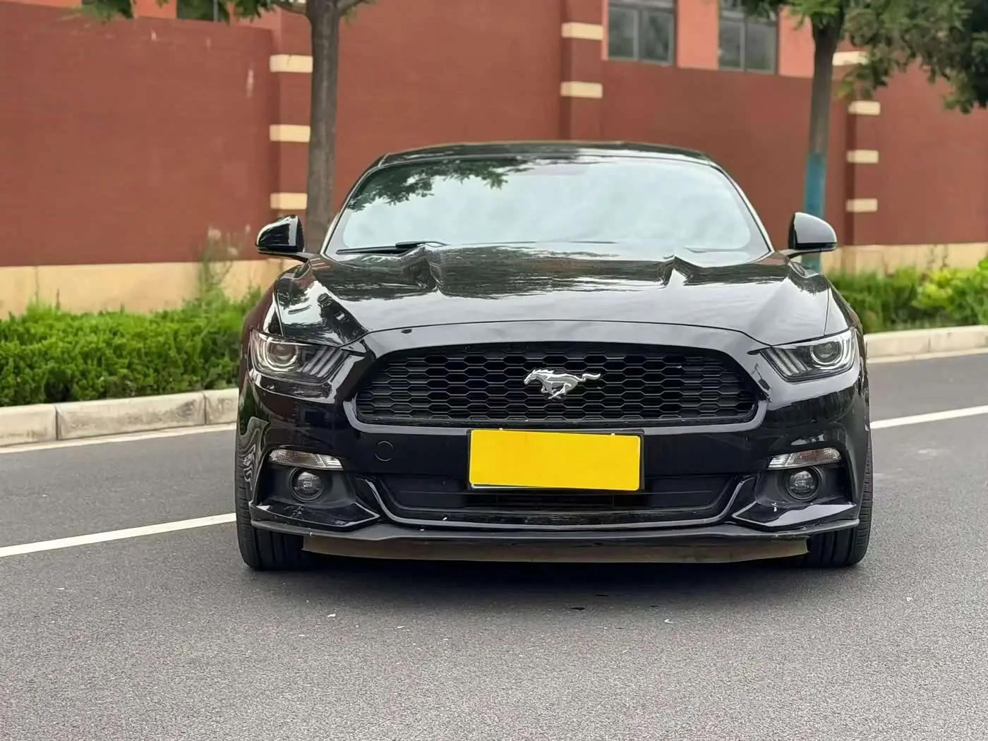 Ford Mustang 2019 — Фото 2/7