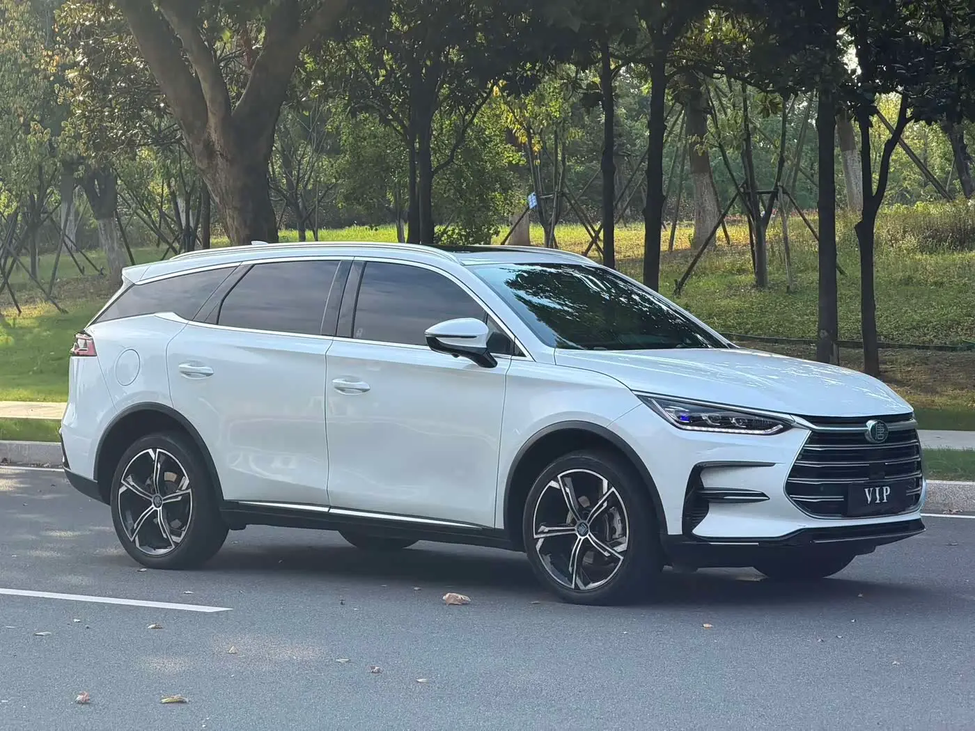BYD Tang New Energy 2023 — Şəkil 3/15