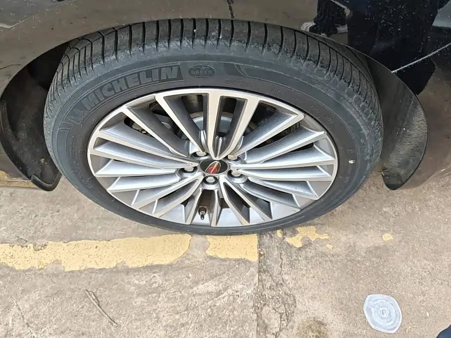 Hongqi H9 2024 — ფოტო 6/16