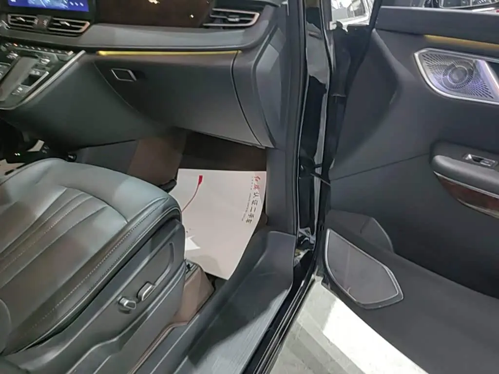 Hongqi HQ9 2023 — ფოტო 9/20