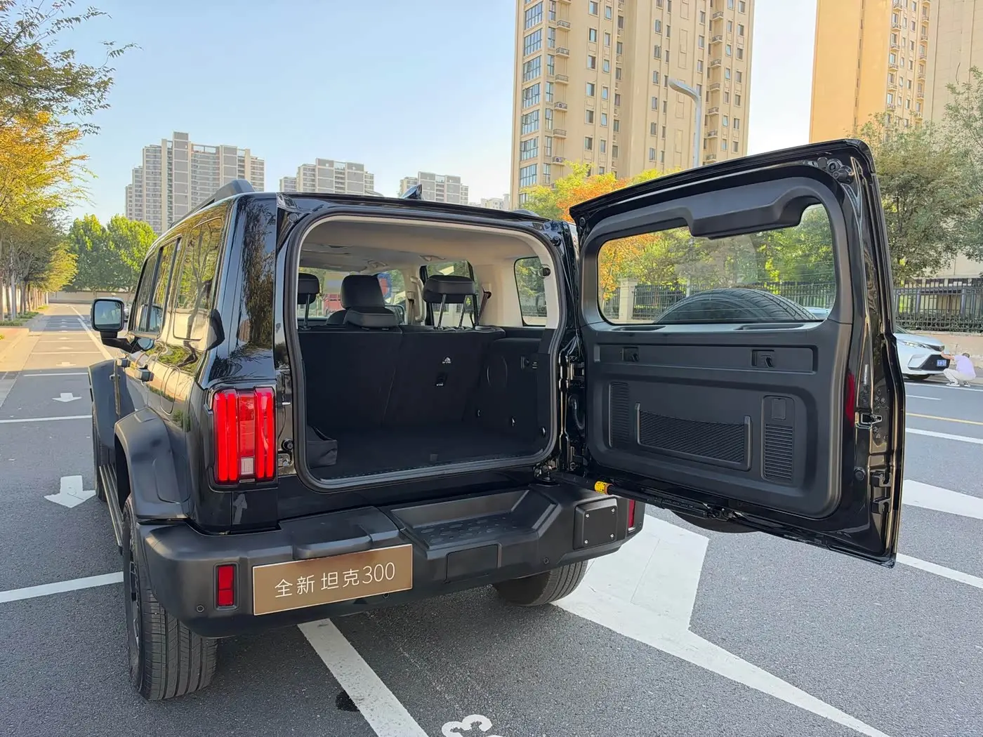 Tank 300L New Energy 2026 — Photo 9/20