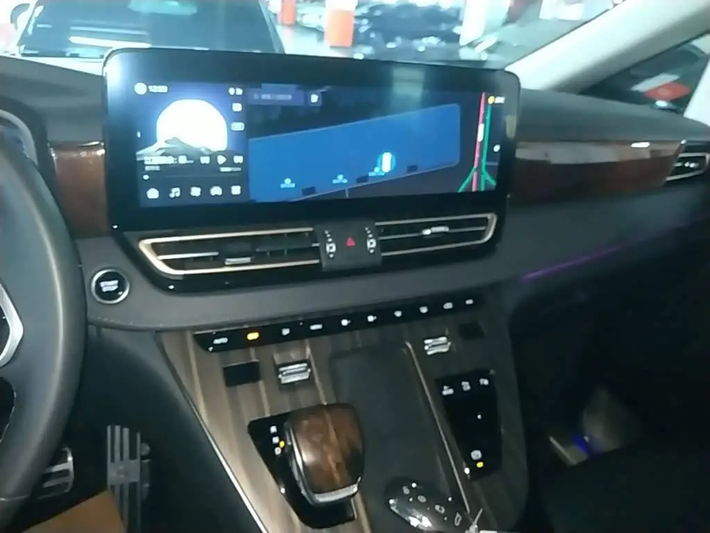 Hongqi HQ9 PHEV 2024 — Photo 13/20