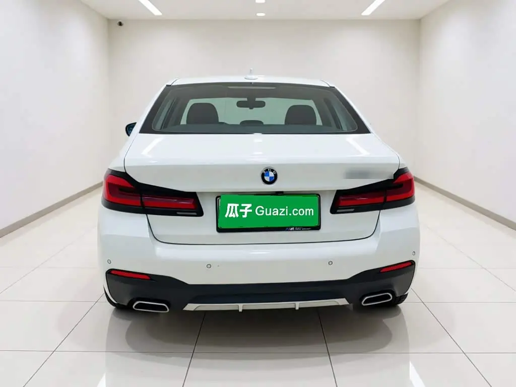 BMW 5 Series New Energy 2021 — Фото 5/20