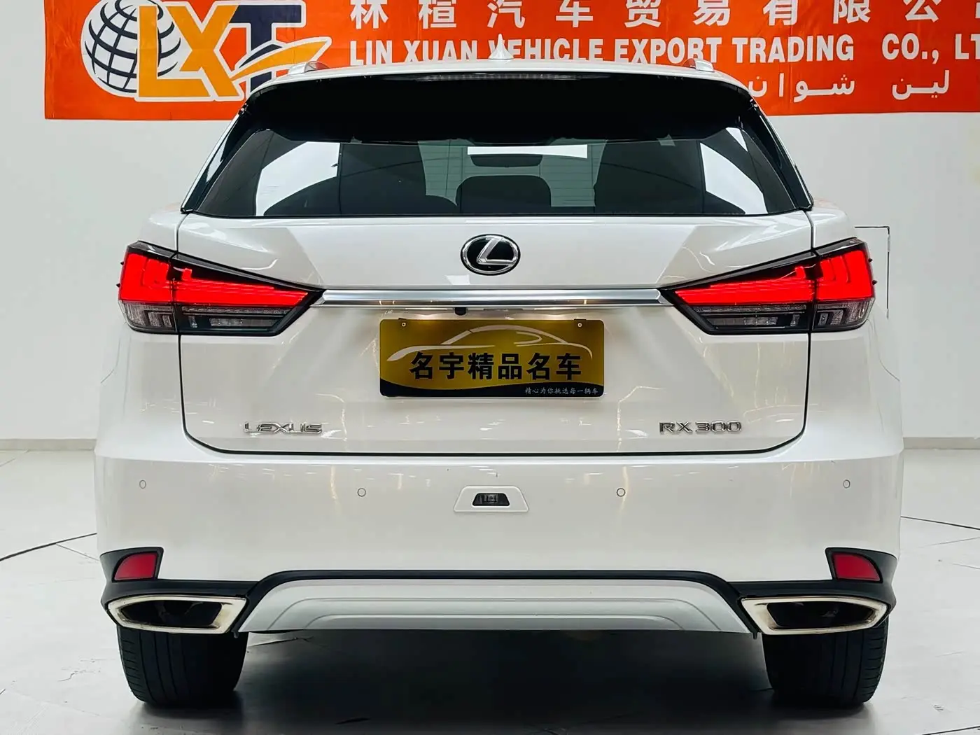Lexus RX 2021 — Фото 5/19