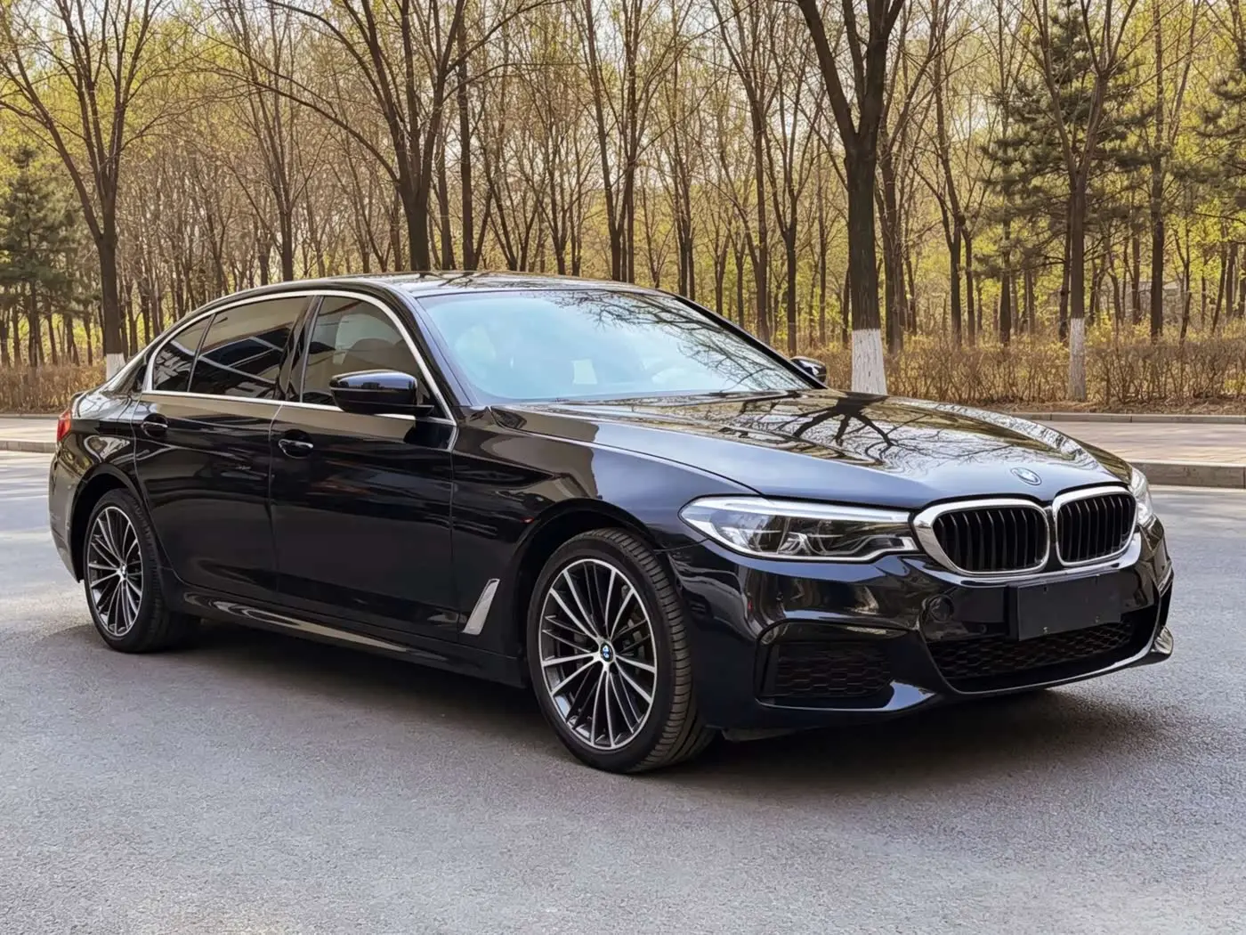 BMW 5 Series 2020 — Photo 8/20