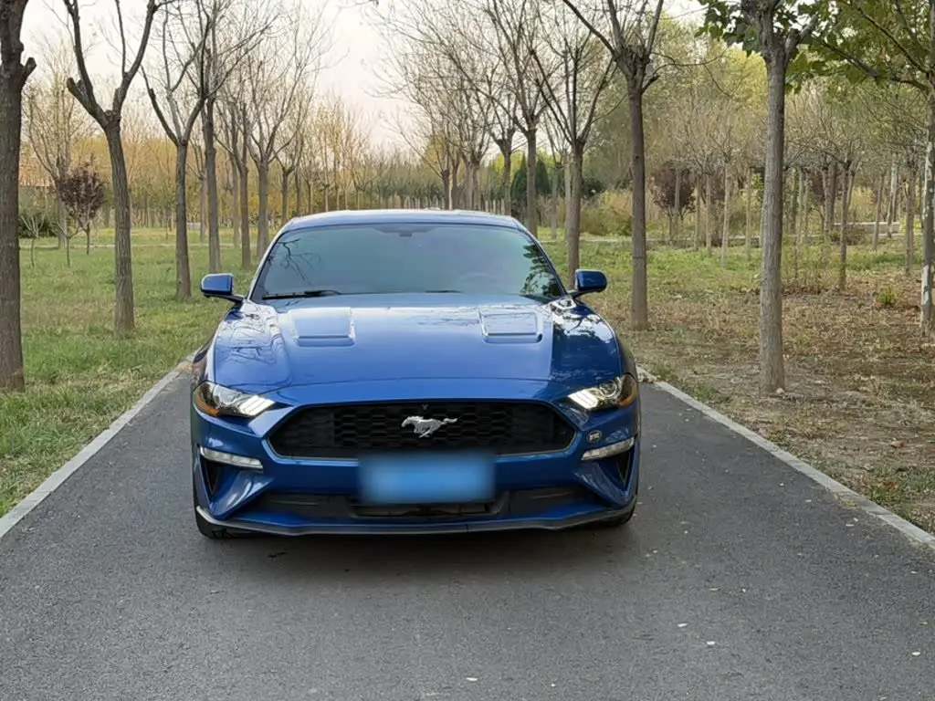 Ford Mustang 2018 — Photo 3/12