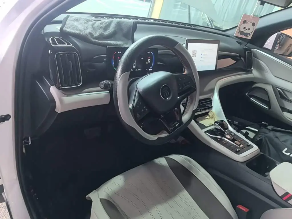 BYD Song Pro New Energy 2024 — Photo 10/20