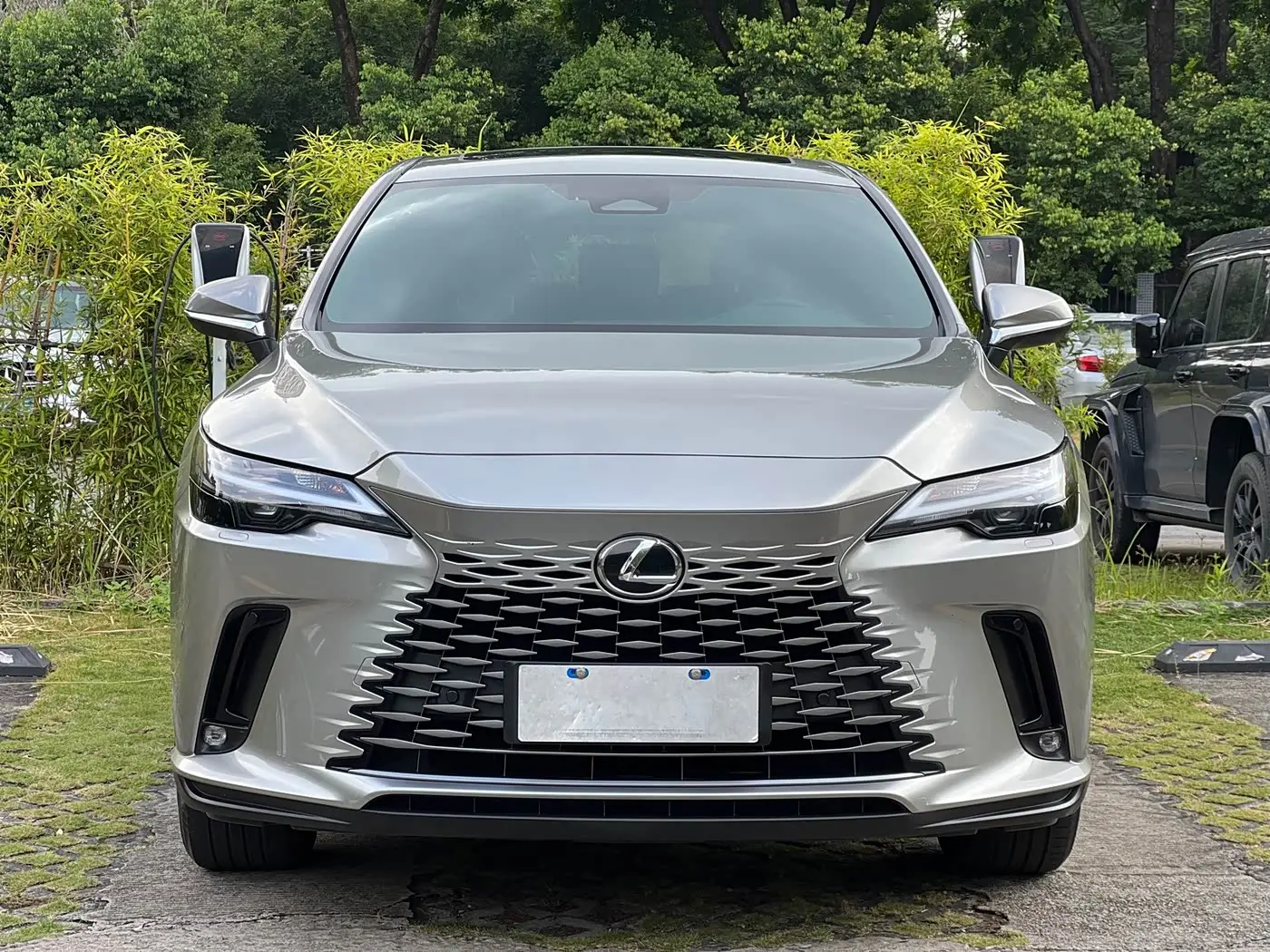 Lexus RX 2025 — Фото 3/20