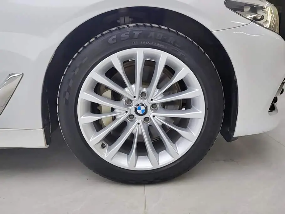 BMW 5 Series 2019 — Фото 6/16