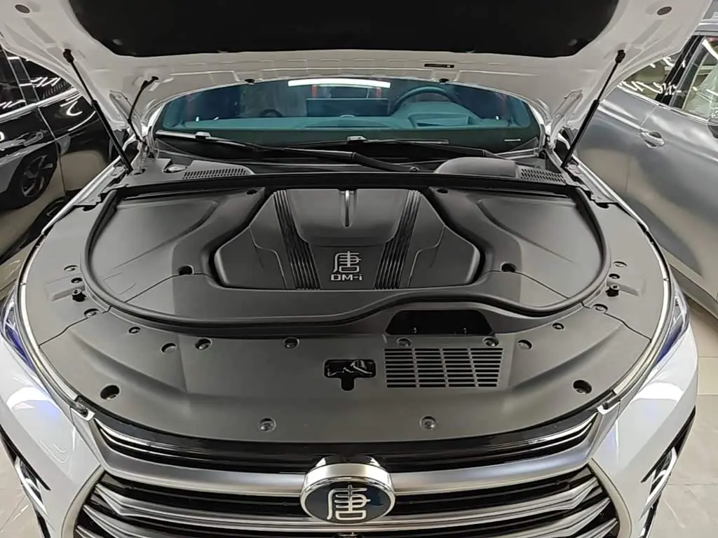 BYD Tang New Energy 2024 — Фото 19/19