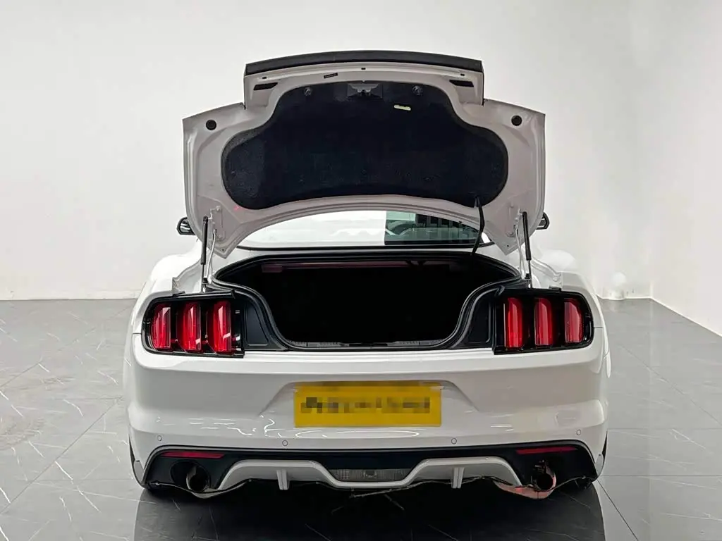 Ford Mustang 2017 — Photo 9/20